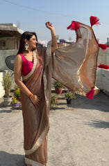 Partywear saree