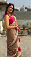 Partywear saree