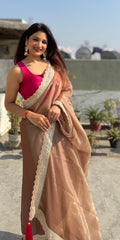 Partywear saree