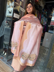 Premium Banarasi fabric resembling Kanji Varam weave